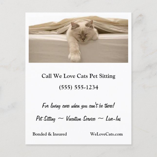 Flyer Un Gato Beige Ahogado En La Cama Beige (Frente)