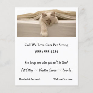 Flyer Un Gato Beige Ahogado En La Cama Beige