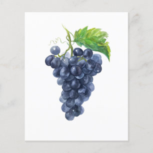 Flyer Uvas oscuras acuarela para eventos de cata de vino