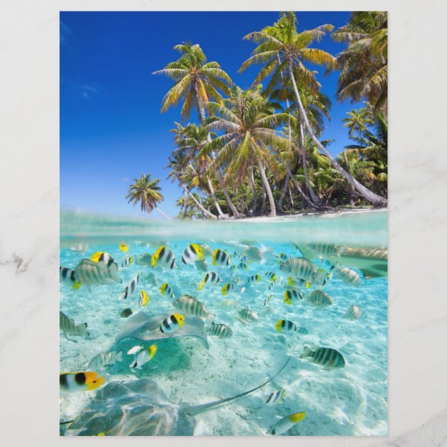 Flyer Vacaciones exóticas (Frente)