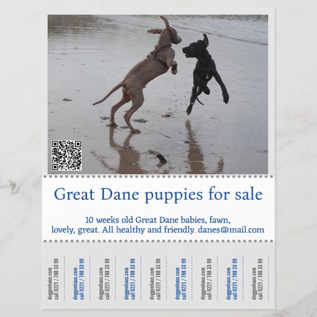 Flyer Vendedor de cartel (Frente)