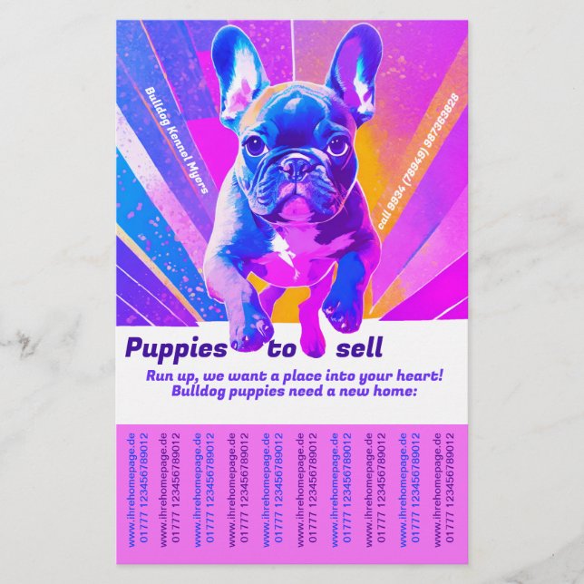 Flyer Vender cachorro Bulldog Francés (Frente)