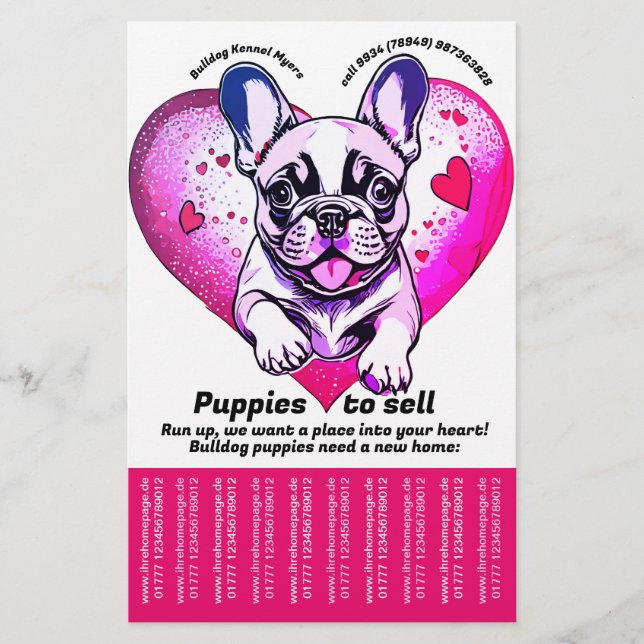 Flyer Vender cachorro Bulldog Francés (Frente)