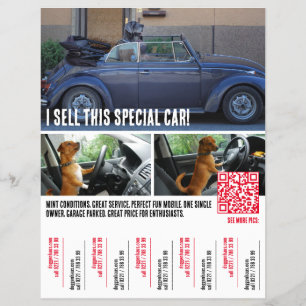 Flyer Venta de coches Ripp of Tears