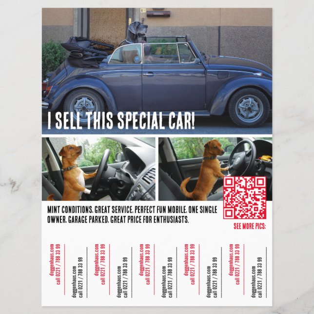Flyer Venta de coches Ripp of Tears  (Frente)