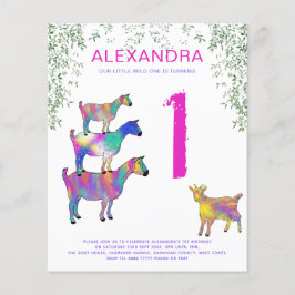 Flyer Wild One Chicas se lleva el presupuesto del primer