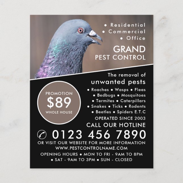 Flyer Wood Pigeon, Pest Control Advertising (Frente)