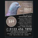 Flyer Wood Pigeon, Pest Control Advertising<br><div class="desc">Wood Pigeon,  Pest Control Advertising Flyer by The Business Card Store.</div>