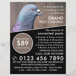 Flyer Wood Pigeon, Pest Control Advertising