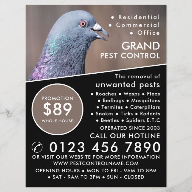 Flyer Wood Pigeon, Pest Control Advertising (Frente)