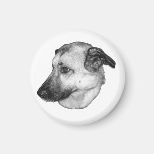 Foco Natural, Imán de Perro