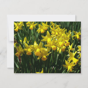Focos amarillos y flores de primavera alegres