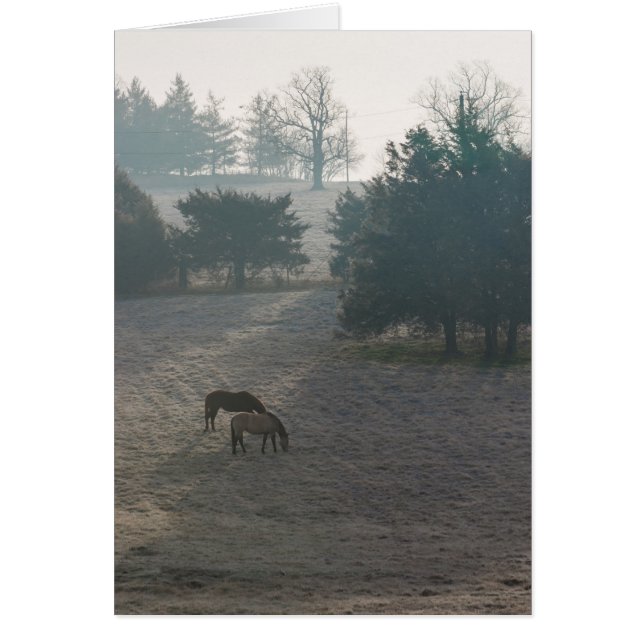 Foggy Grazing (Frente)