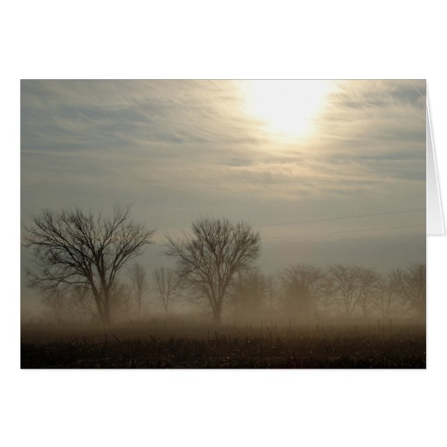 Foggy Morning (Anverso (Horizontal))