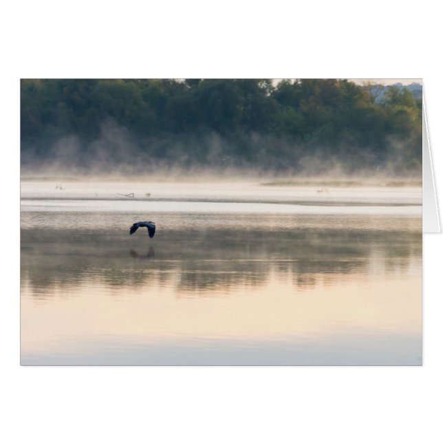 Foggy Morning Flight (Anverso (Horizontal))