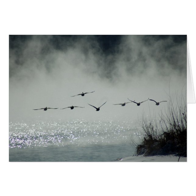 Foggy Morning Flight Card (Anverso (Horizontal))