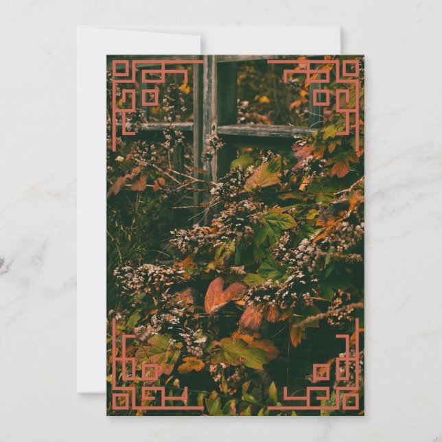 Foliage de caída de tarjeta (Anverso)