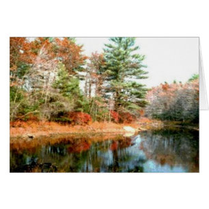 Foliage en los colores pico