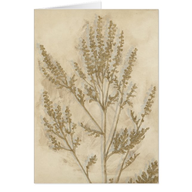 Foliage II dorado (Frente)