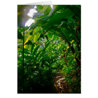 Follaje de la cabaña de Hana