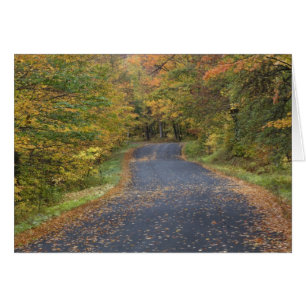 Follaje de otoño en la carretera, sur de Vermont, 