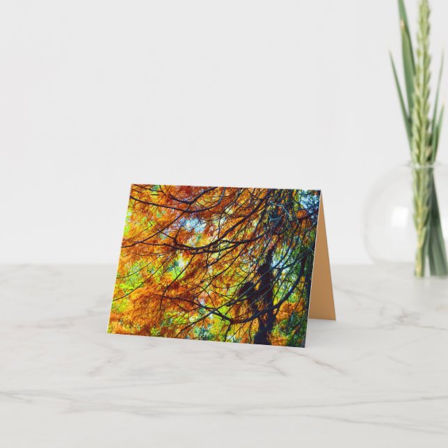 Follaje de otoño y tarjeta de luz (Anverso)