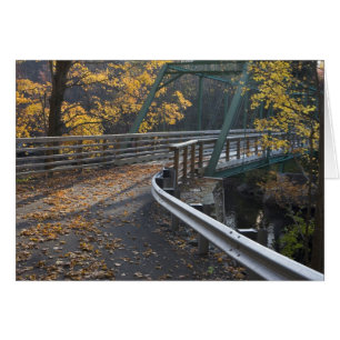 Follaje de otoño y un puente sobre el Millers