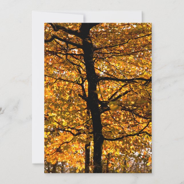 Follaje otoñal (Anverso)