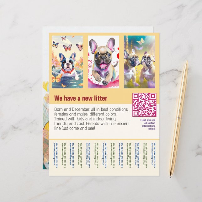 folleto de cachorros a la venta con naranja de cód (Anverso/Reverso In Situ)