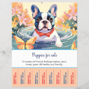 Folleto de cachorros de Bulldog Francés
