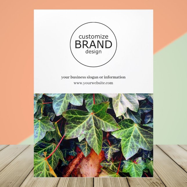 Folleto de fotografías del logotipo de negocios mo (business brochure)