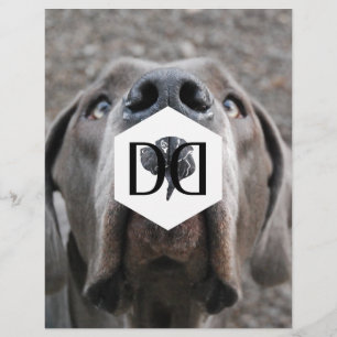 Folleto de inventario de crianza de perros