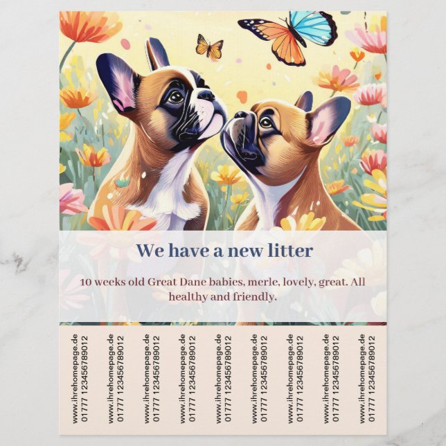 Folleto de perrito francés a la venta (Frente)