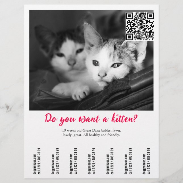 Folleto de venta de gatitos (Frente)