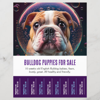 Folleto para vender cachorros Bulldog