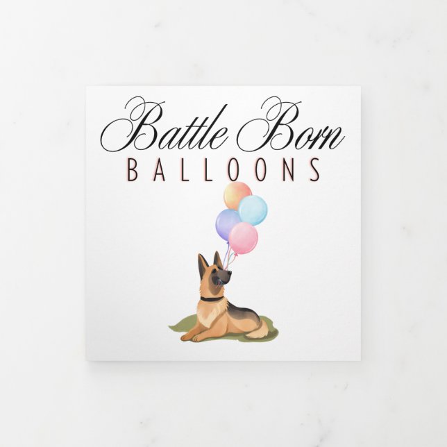 Folleto sobre la batalla de los globos nacidos (Foto de portada)