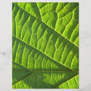 Folleto verde de Guay