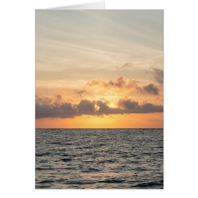 Folly Beach Morning (Frente)