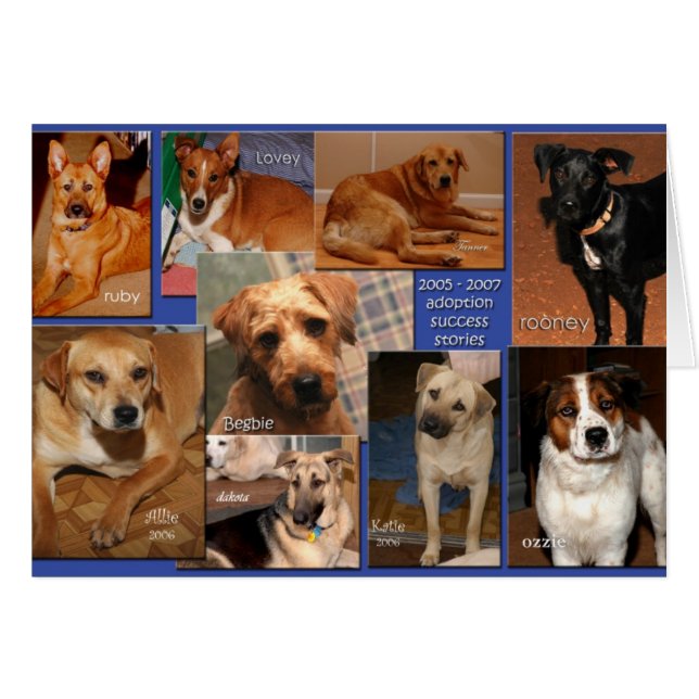 fomentar historias de éxito2007 (Anverso (Horizontal))