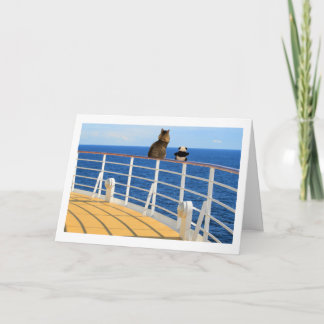 Fomente y tarjeta de la travesía de la panda