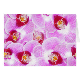 Fondo abstracto de una fotografía de la flor de l