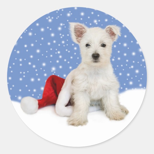 Fondo azul deja que nieve Pegatinas (Anverso)