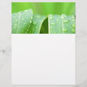 Fondo de hojas verdes
