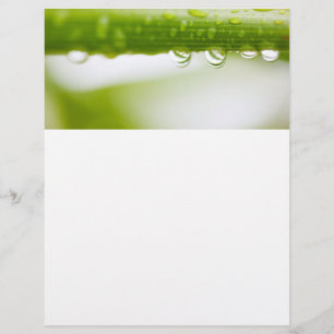 Fondo de hojas verdes