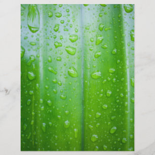 Fondo de hojas verdes