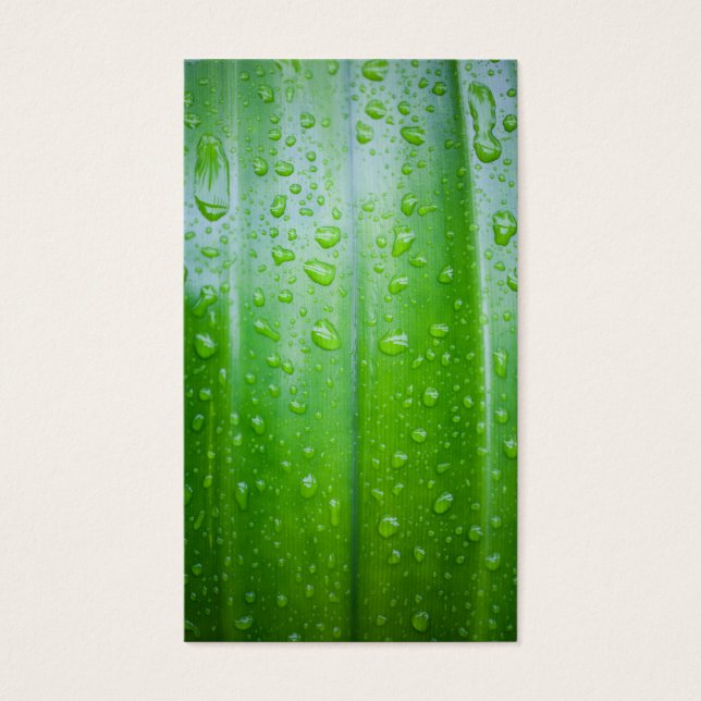 Fondo de hojas verdes (Frente)