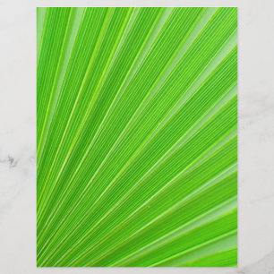 Fondo de la hoja de palma verde
