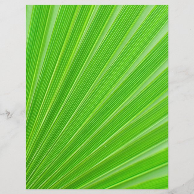 Fondo de la hoja de palma verde (Frente)