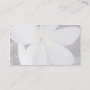 fondo de la tarjeta de visita del plumeria