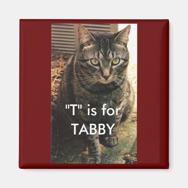 Fondo de maroon del imán del gato de Tabby (Frente)